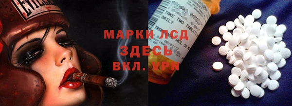 гашик Козельск