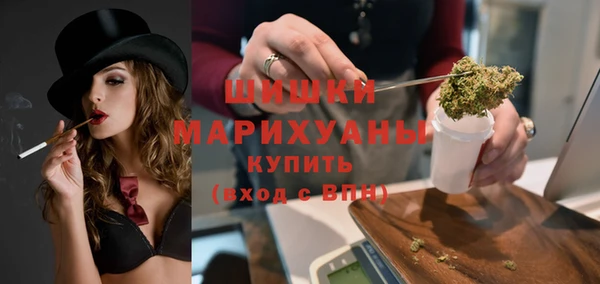 ГАЛЛЮЦИНОГЕННЫЕ ГРИБЫ Козловка