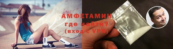 гашик Козельск