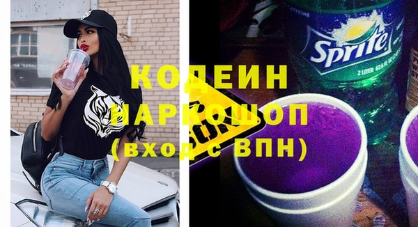 гашик Козельск