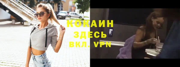 ГАЛЛЮЦИНОГЕННЫЕ ГРИБЫ Козловка