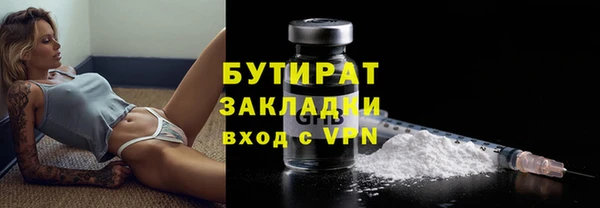 ГАЛЛЮЦИНОГЕННЫЕ ГРИБЫ Козловка