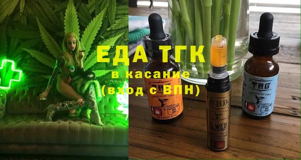 гашик Козельск