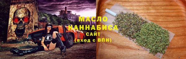 ГАЛЛЮЦИНОГЕННЫЕ ГРИБЫ Козловка