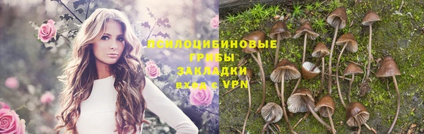 гашик Козельск