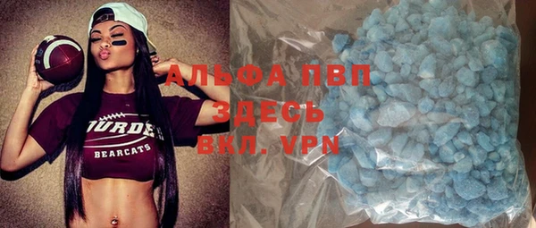 ГАЛЛЮЦИНОГЕННЫЕ ГРИБЫ Козловка