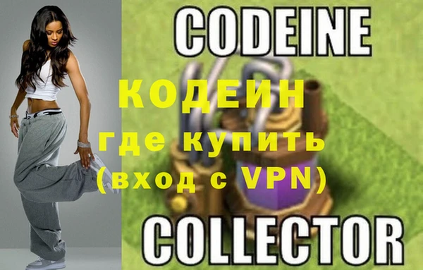 ГАЛЛЮЦИНОГЕННЫЕ ГРИБЫ Козловка