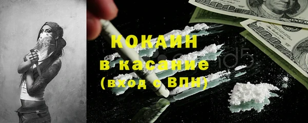 гашик Козельск