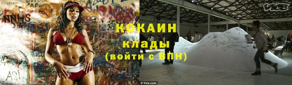 ГАЛЛЮЦИНОГЕННЫЕ ГРИБЫ Козловка