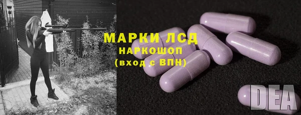 ГАЛЛЮЦИНОГЕННЫЕ ГРИБЫ Козловка