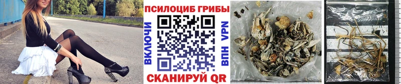 Галлюциногенные грибы GOLDEN TEACHER  магазин продажи наркотиков  Можайск 