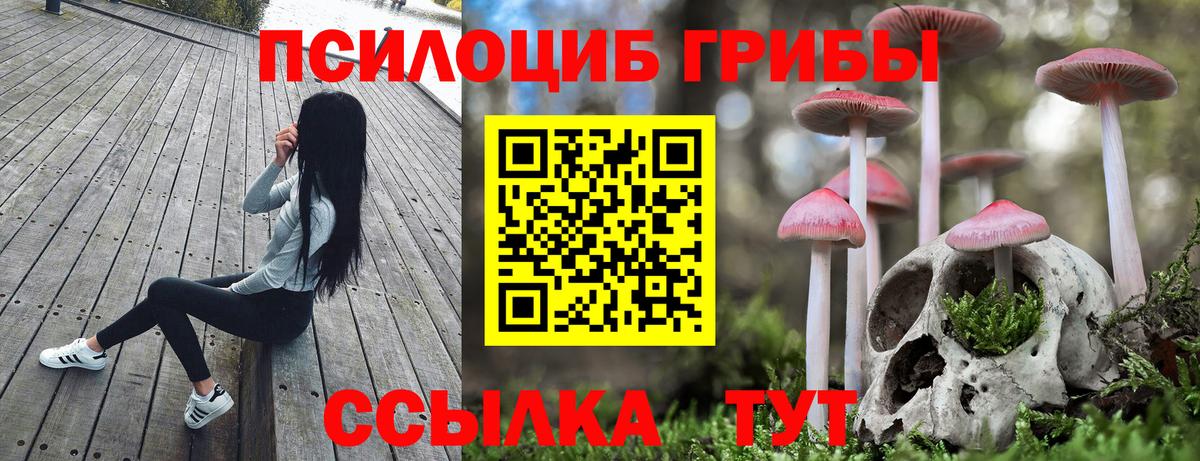 Галлюциногенные грибы Magic Shrooms Можайск